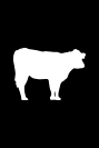 Vignette lait de vache